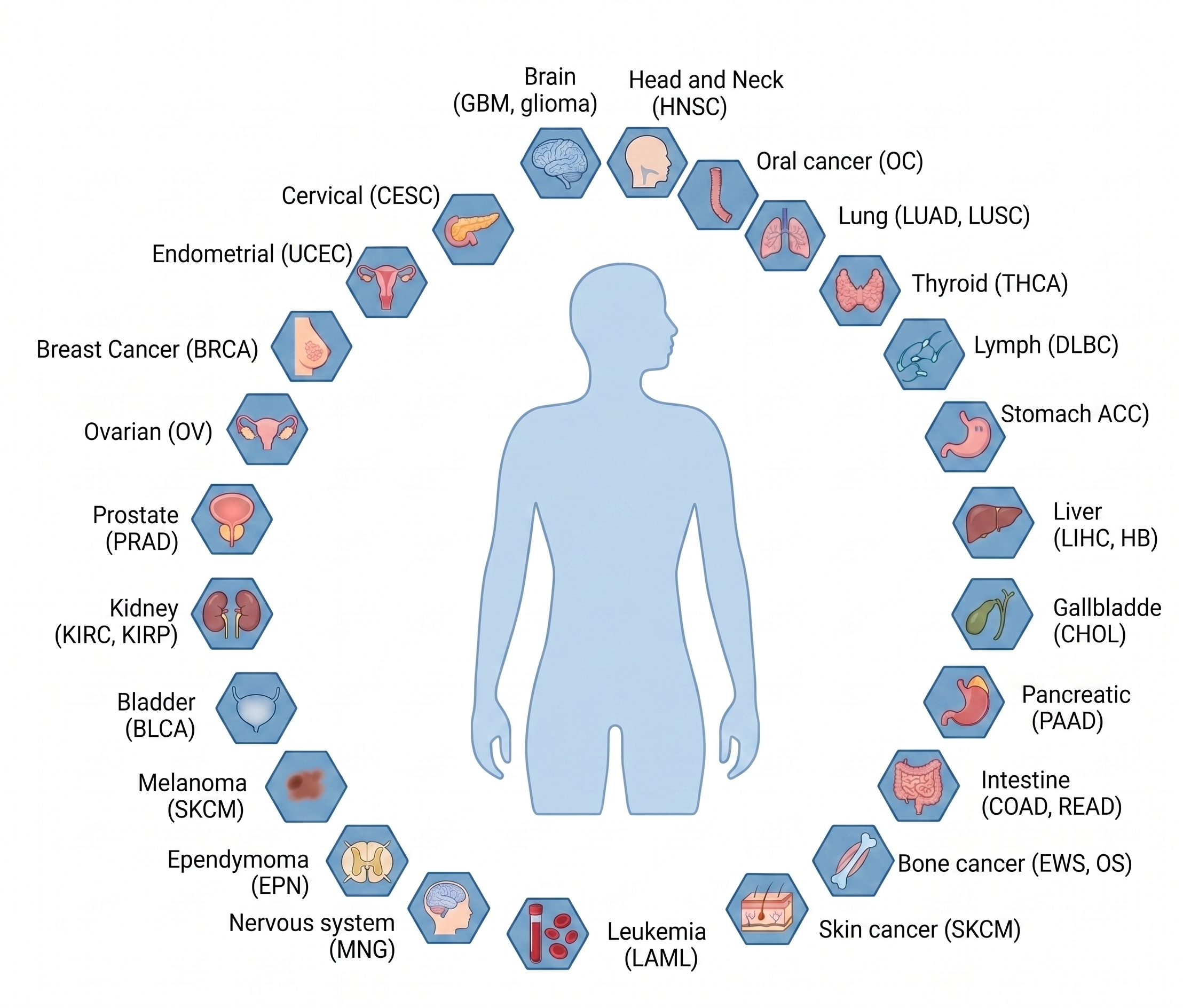 Cancer Type Overview